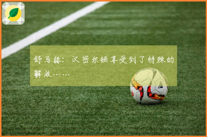 舒马赫：汉密尔顿享受到了特殊的解放……