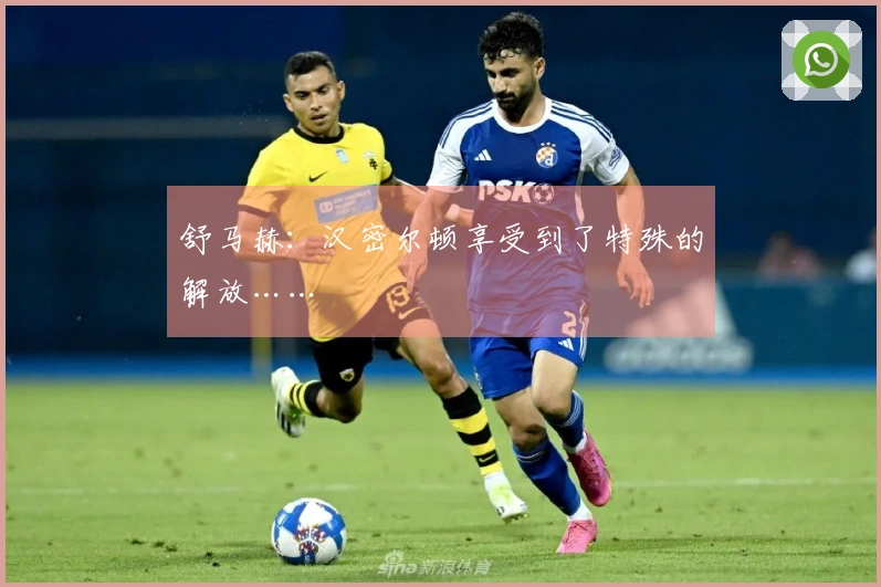 舒马赫：汉密尔顿享受到了特殊的解放……